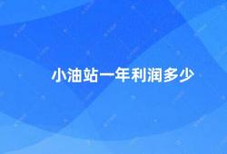 小油站一年利润多少（小油站的年利润是多少）