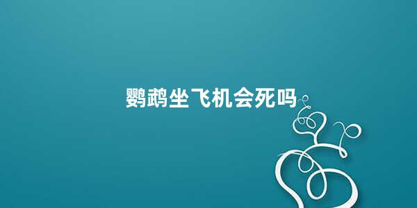 鹦鹉坐飞机会死吗