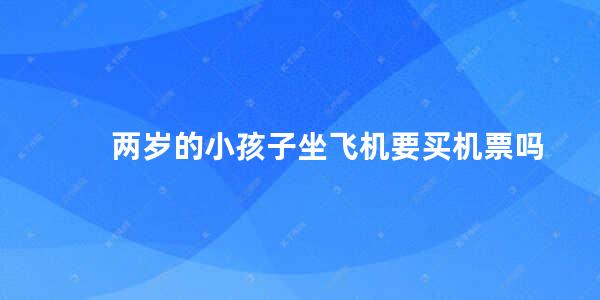 两岁的小孩子坐飞机要买机票吗