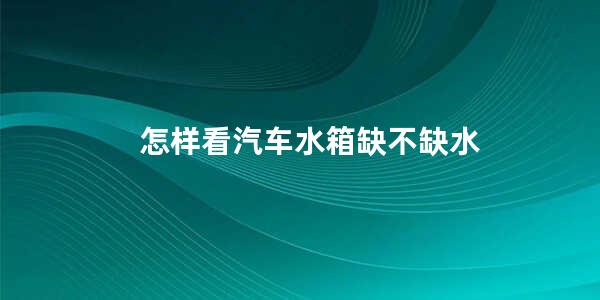 怎样看汽车水箱缺不缺水