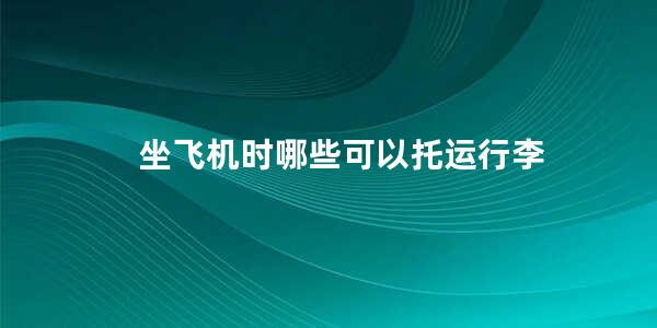 坐飞机时哪些可以托运行李