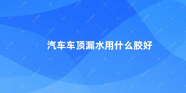 汽车车顶漏水用什么胶好