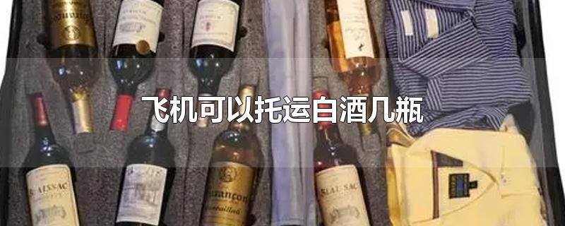 坐飞机每个人可以带多少酒水(乘飞机如何带红酒吗)