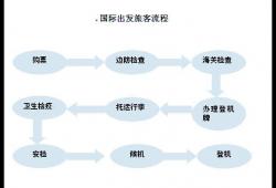 坐飞机的整个流程图(坐飞机过安检有哪些步骤)