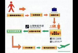 如何出国坐飞机流程图(狗狗坐飞机托运流程)